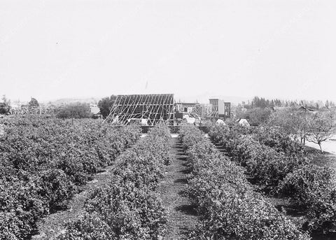 circa 1915 historic Los Angeles Hollywood exterior silent sets for Dixon Studios 6002-33