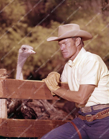 Chuck Connors and a ostrich 8b20-17542