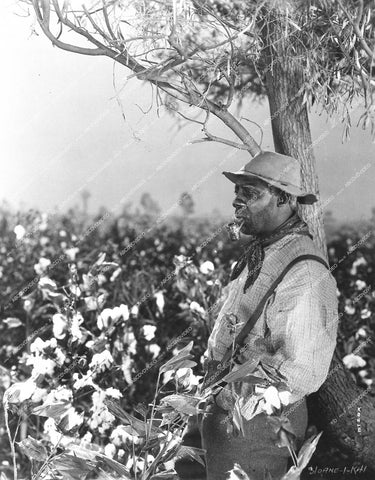 Clarence Muse - 1929 film Hearts in Dixie - 0459-013