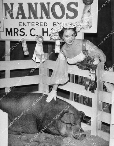 Jo Van Fleet w her award winning hog TV Thriller - 11040-029