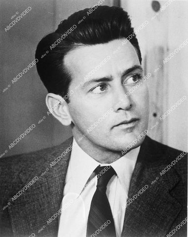 Martin Sheen portrait - 11042-004