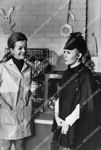 Juliet Mills Richard Long David Doremus Trent Lehman Kim Richards TV Nanny & the Professor 12592-26