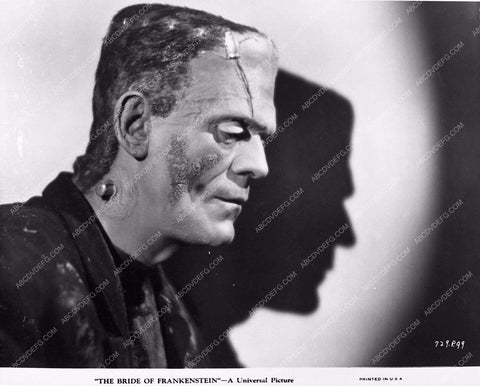Boris Karloff J. Carrol Naish horror film House of Frankenstein 346-25