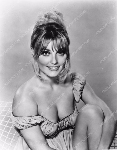 always gorgeous Sharon Tate portrait 410-16