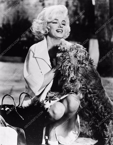 beautiful Marilyn Monroe petting her dog 654-21