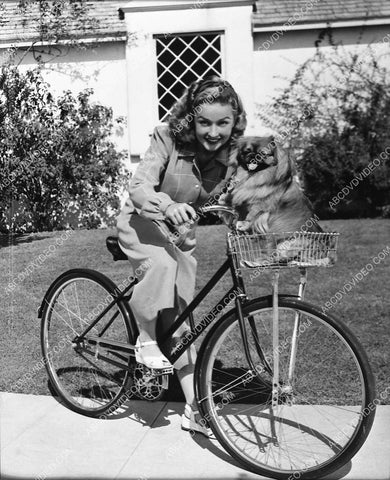 Bonita Granville and her dog go for a bicycle ride 739-29