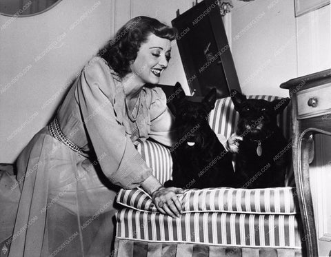 candid photo Bette Davis her dog Tibby & ? In her dressing room 842-27