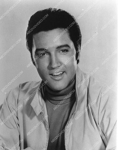 handsome Elvis Presley portrait 1026-04