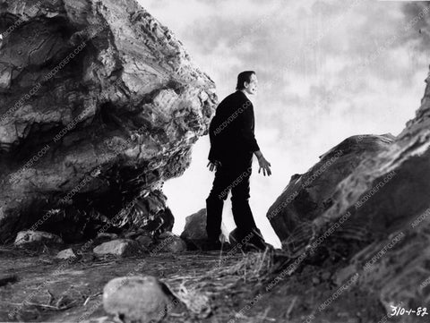 Boris Karloff Frankenstein 1043-17