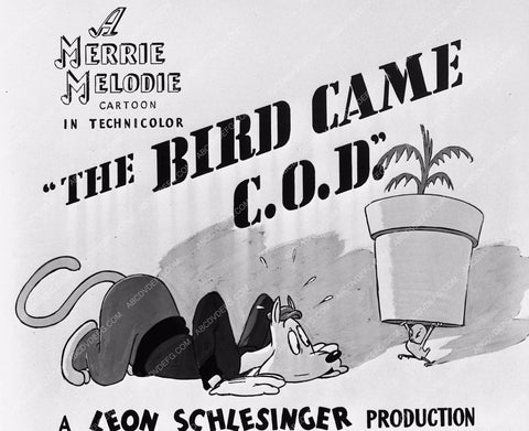 Merrie Melodie cartoon WB animation The Bird Came C.O.D. 1062-02