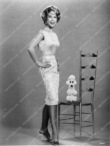 stunning Barbara Eden in skirt and high heels and toy poodle 10701-28