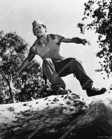 rugged Charles Bronson in action film Never So Few 1107-02