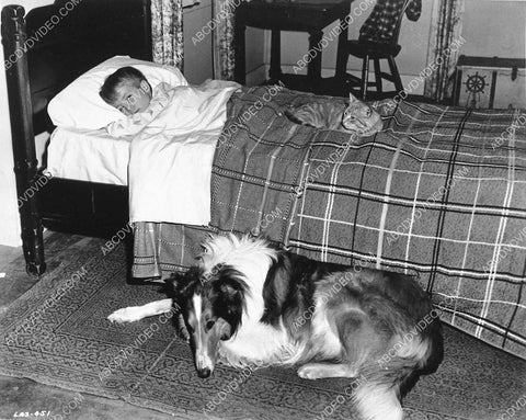 John Provost Lassie the dog TV Lassie 1141-18