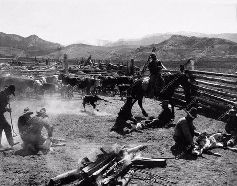 real cowboys 2-Bar-T Ranch in Wyoming branding cattle 1174-35