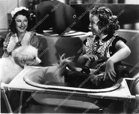 Joan Davis & Shirley Temple take the dogs to the dog wash film Just Around the Corner 1206-15