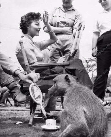 Ava Gardner candid with a baboon doing a makeup check Mogambo 1407-08