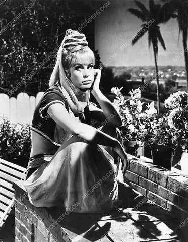 beautiful Barbara Eden TV I Dream of Jeannie 1482-08
