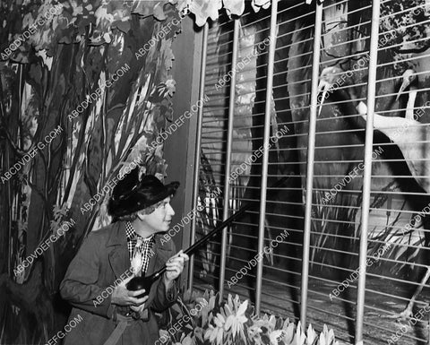 Harpo Marx playing w the flamingos 1509-25
