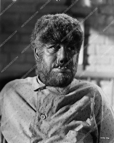 Lon Chaney Jr is The Wolf Man (wearing his pajamas) 1625-23
