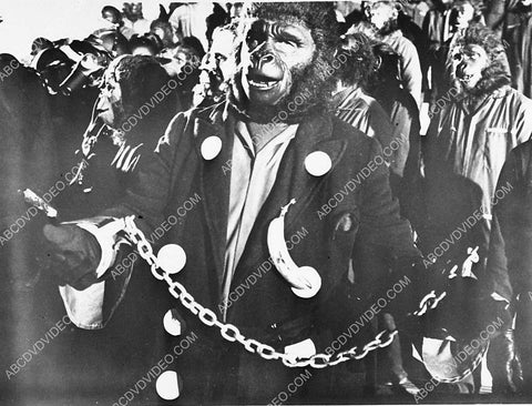apes in chains film Conquest of the Planet of the Apes 1721-12