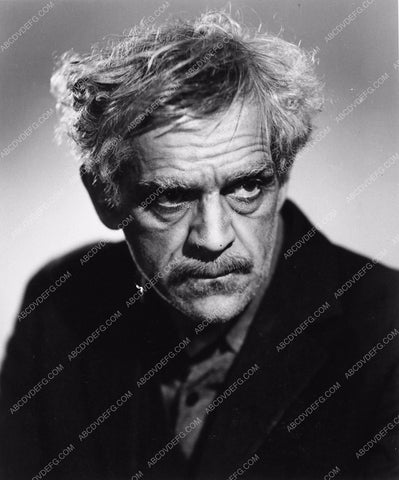 Boris Karloff horror film The Devil Commands 1849-30