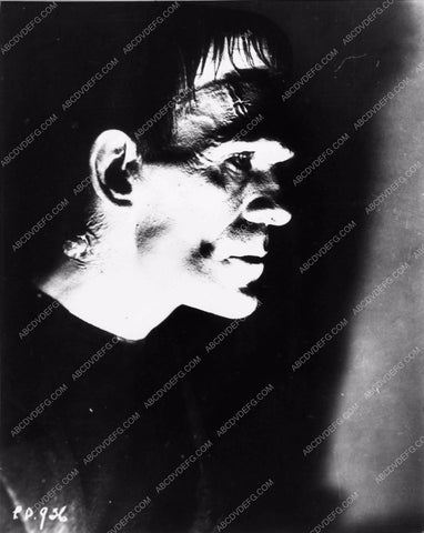profile Boris Karloff as the Frankenstein Monster 1851-21