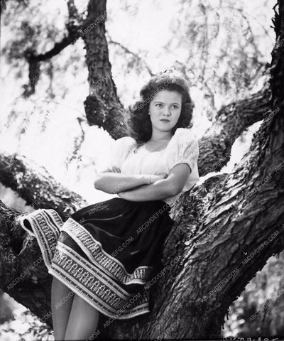 Shirley Temple posing in a tree 1924-15