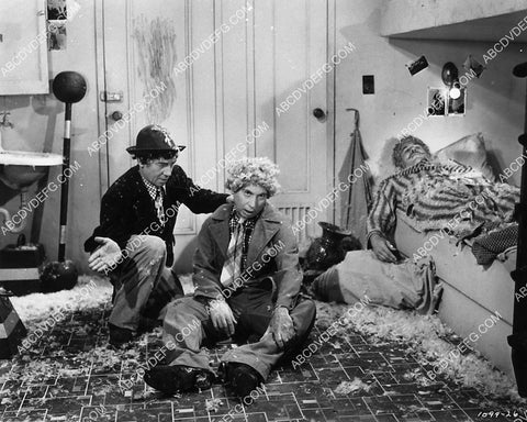Chico and Harpo Marx film At the Circus 1956-12