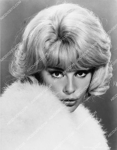beautiful Elke Sommer portrait 2136-09