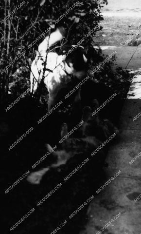 Jack Donovan & Mike Donovan w horse and dog 2159-17