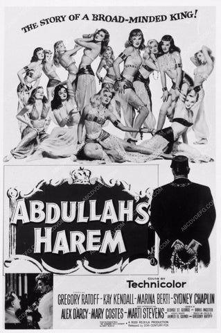 art still Abdullahs Harem 2174-01