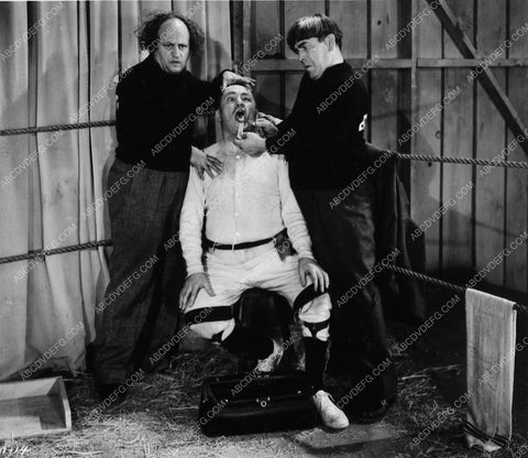 3 Stooges Moe Larry Curly yucking it up 2192-19