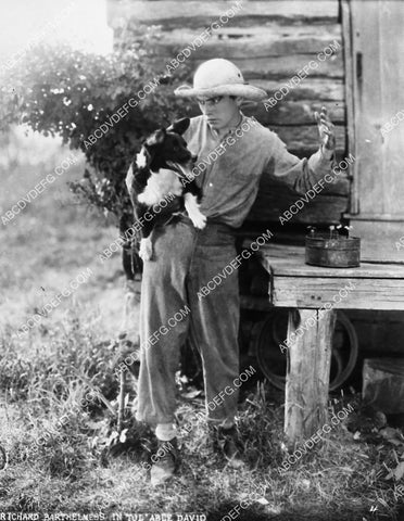 Richard Barthelmess and the dog silent film Tol'Able Dave 2237-33