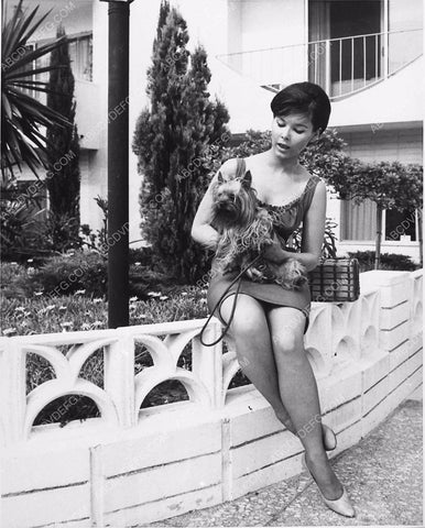 candid Yvonne Craig with her dog 2244-16