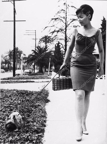 candid Yvonne Craig with her dog 2244-17