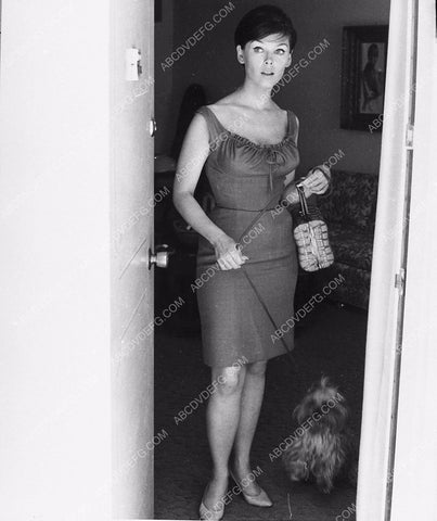 candid Yvonne Craig with her dog 2244-22