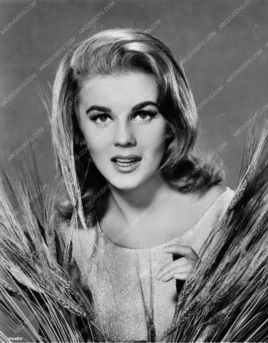 Ann-Margret portrait 2310-12