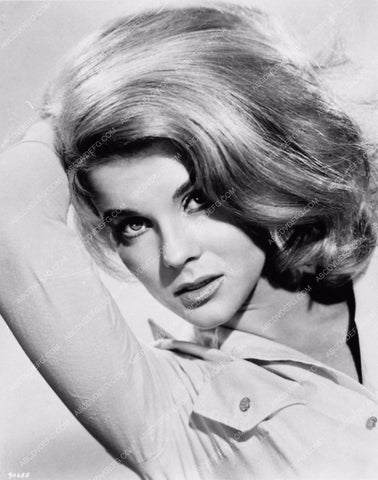 Ann-Margret portrait 2310-14