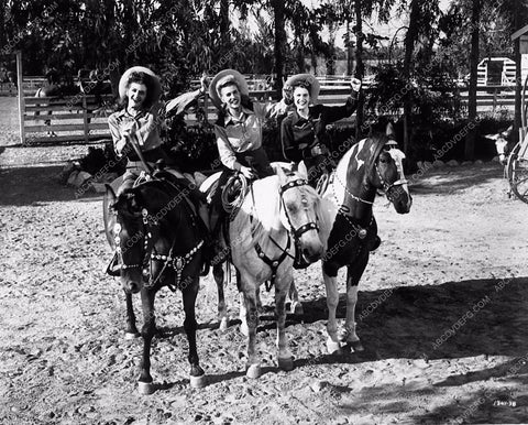 Andrew Sisters Moonlight and Cactus 2347-16