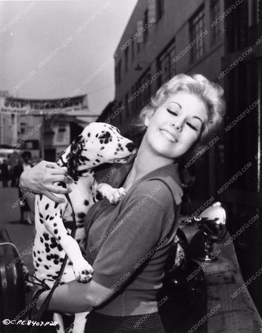 candid Kim Novak and cute dalmation puppy dog 2412-32