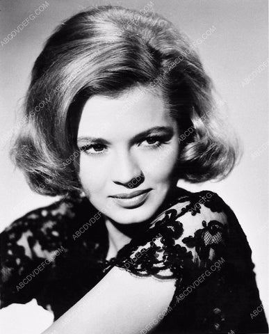 beautiful Angie Dickinson portrait 2540-11
