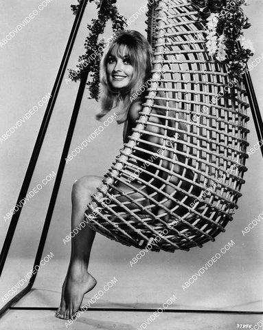 stunning Sharon Tate sitting in a wicker chair 2704-25