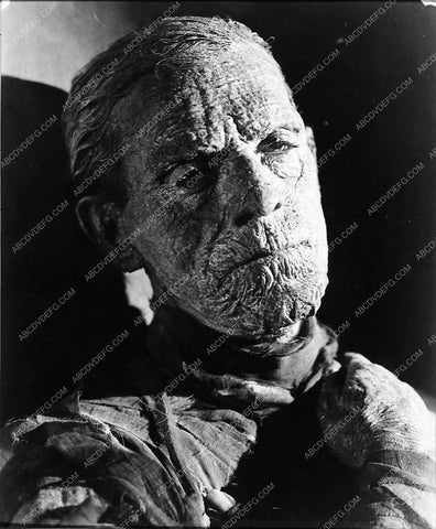 Boris Karloff classic horror film The Mummy 2737-11