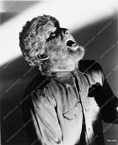 Lon Chaney Jr. classic horror film The Wolf Man 2738b-07