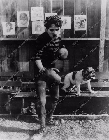 Charles Chaplin in boxing gloves w dog silent film Champion 2813b-13