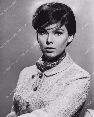 beautiful Yvonne Craig portrait 2886-18