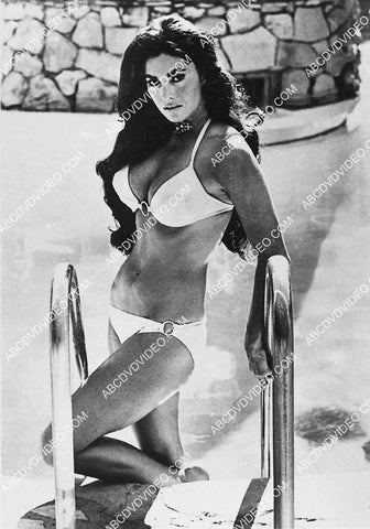 2926-024 candid sexpot bombshell Edy Williams in white bikini standing in swimming pool 2926-024