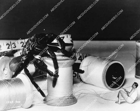 2929-028 Grant Williams fighting the tarantula sci-fi film The Incredible Shrinking Man 2929-028