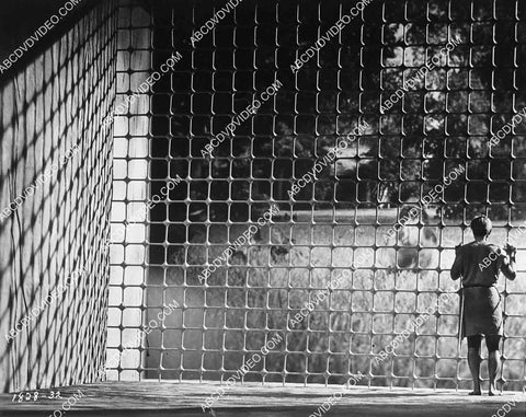 2929-029 Grant Williams trapped sci-fi film The Incredible Shrinking Man 2929-029
