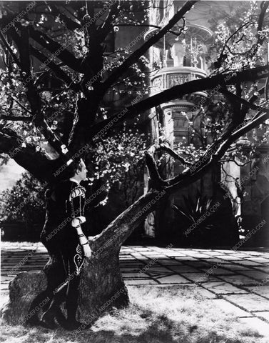 Leslie Howard Norma Shearer Romeo and Juliet 3002-05